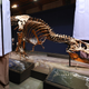 Image for article titled ‘T. Rex May Be Smaller Than Previously Thought,’ Report 50-Foot-Tall Researchers
